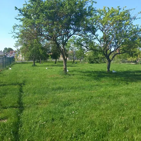Maison Charmante A Chepy Avec Jardin Et Piste De Petanque Chepy (Marne)