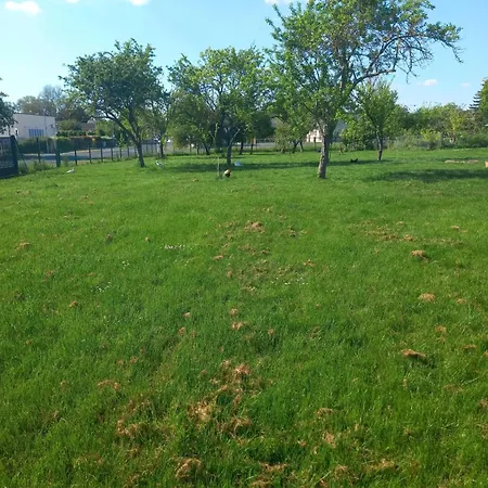 Maison Charmante A Chepy Avec Jardin Et Piste De Petanque * Chepy (Marne)