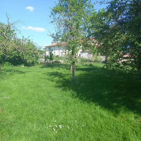 בית נופש Maison Charmante A Chepy Avec Jardin Et Piste De Petanque